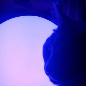 Meet your Posher, Abracadabra